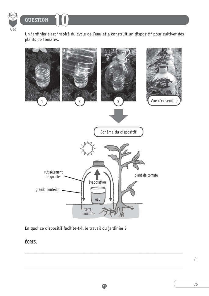 Exercice du questionnaire CEB 2015, page 59