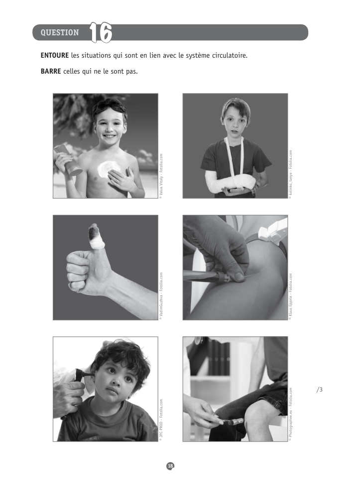 Exercice du questionnaire CEB 2015, page 66