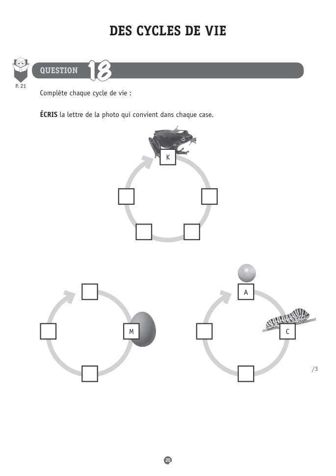 Exercice du questionnaire CEB 2015, page 68