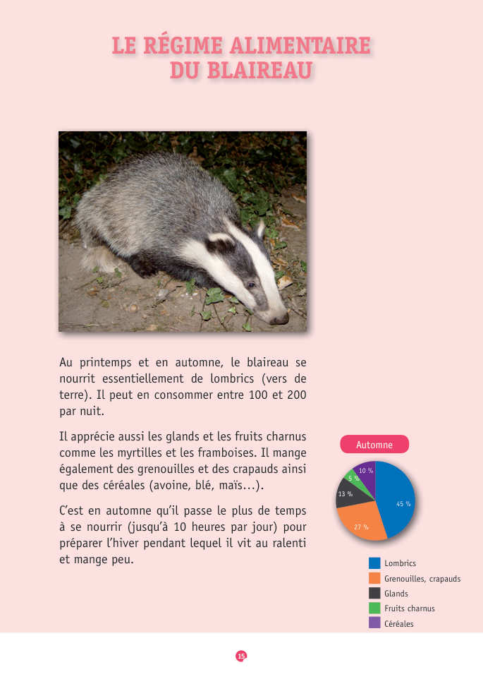 Document du portfolio, page 15