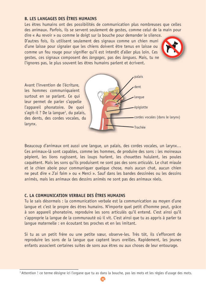 Document du portfolio, page 32