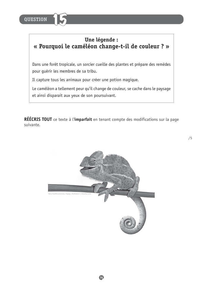 Exercice du questionnaire CEB 2016, page 82