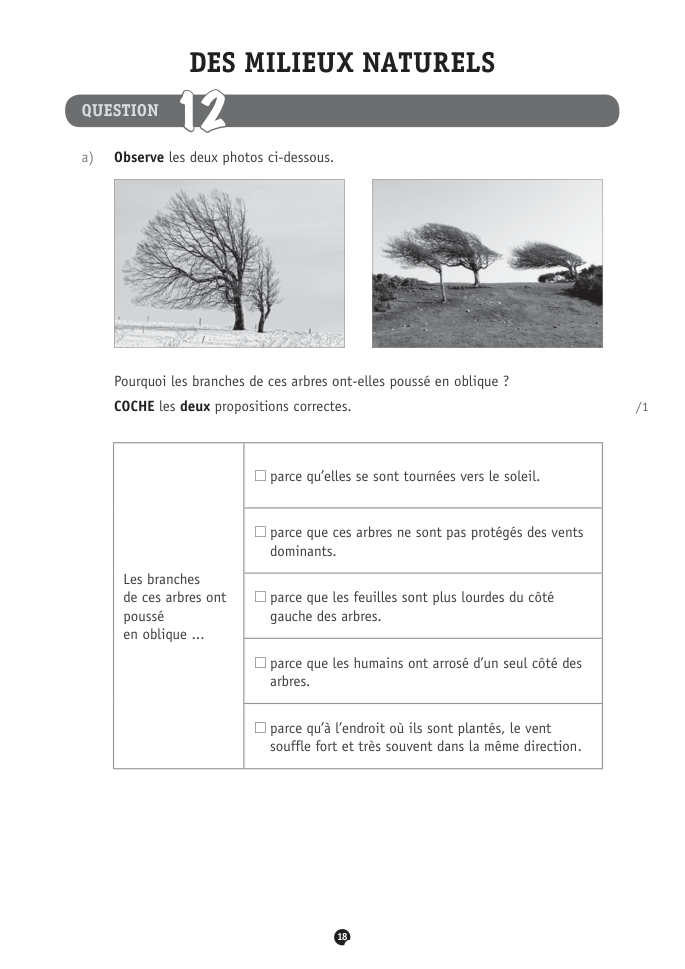 Exercice du questionnaire CEB 2018, page 118