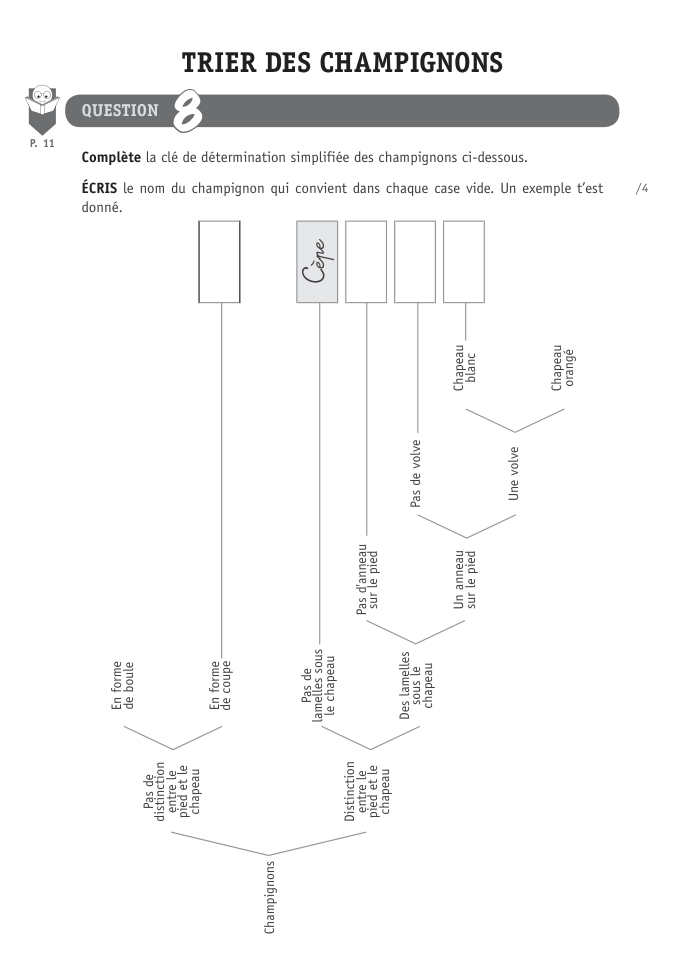 Exercice du questionnaire CEB 2018, page 76