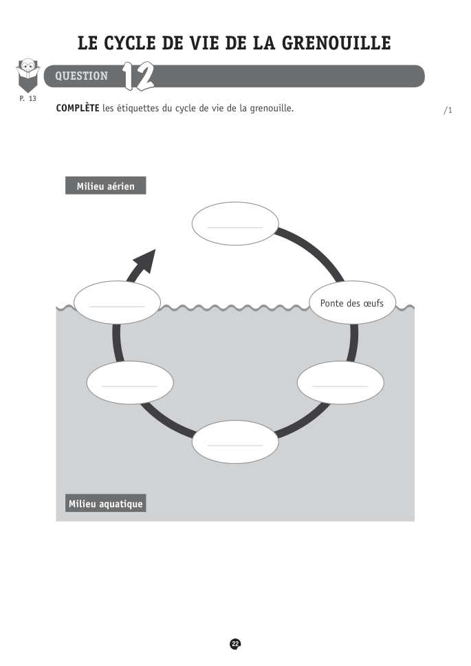Exercice du questionnaire CEB 2018, page 82
