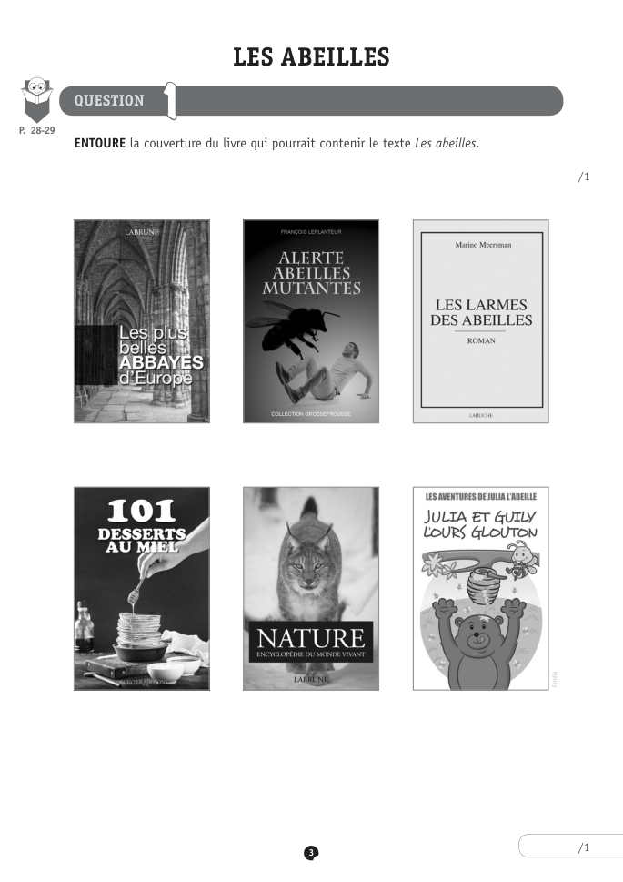 Exercice du questionnaire CEB 2018, page 91