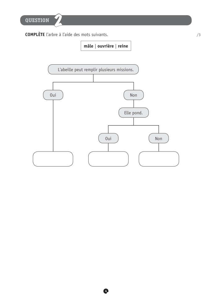 Exercice du questionnaire CEB 2018, page 92