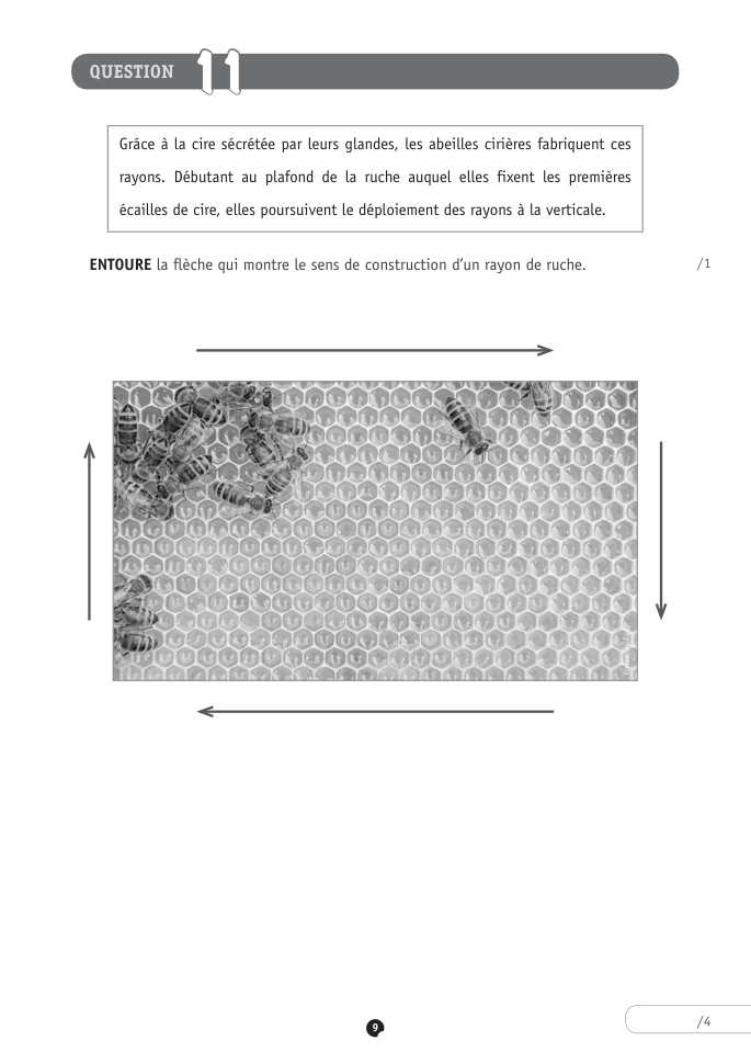 Exercice du questionnaire CEB 2018, page 97