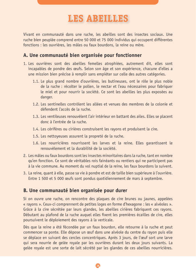 Document du portfolio, page 28