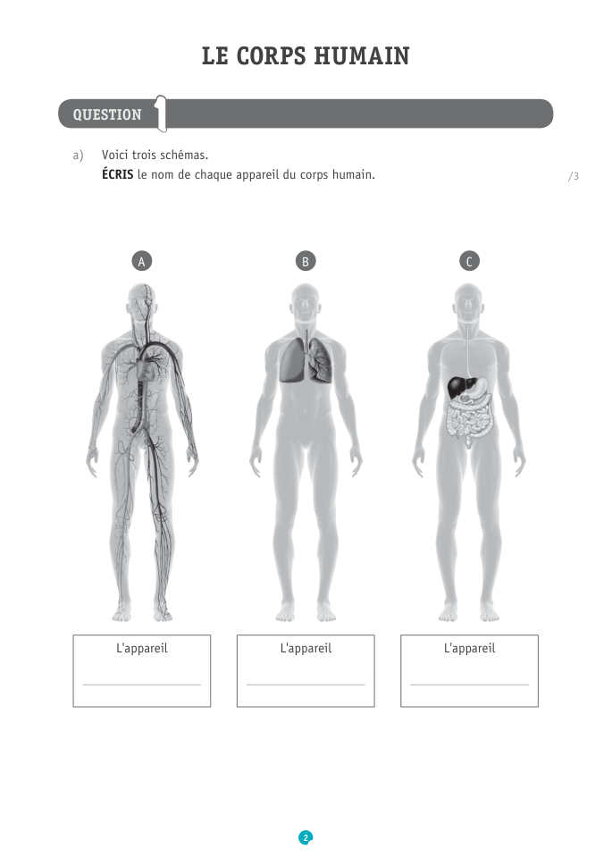 Exercice du questionnaire CEB 2019, page 118