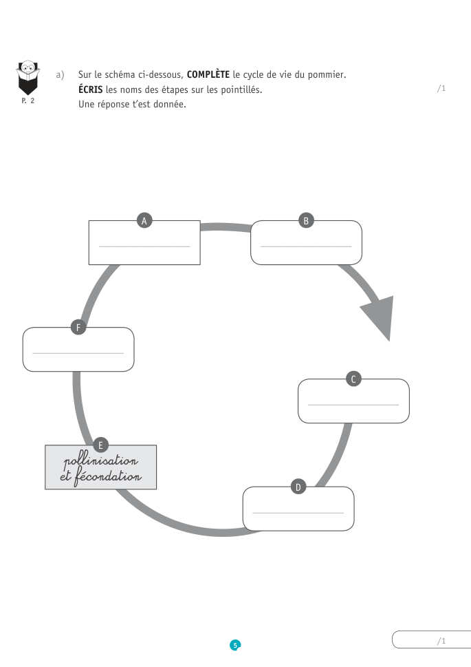 Exercice du questionnaire CEB 2019, page 121