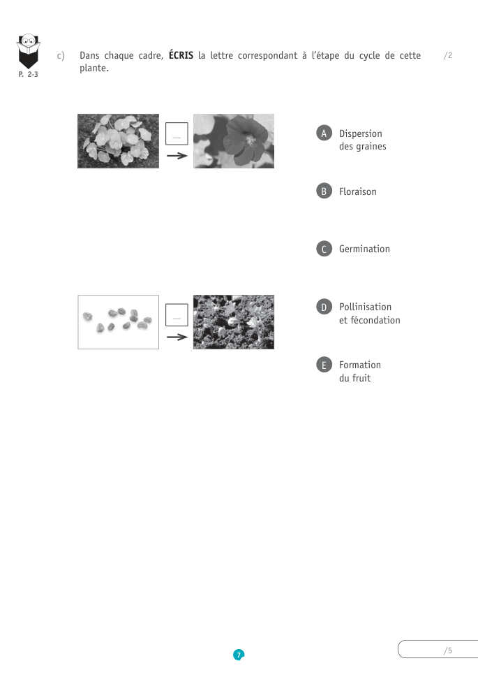 Exercice du questionnaire CEB 2019, page 123