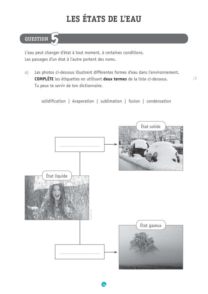 Exercice du questionnaire CEB 2019, page 130