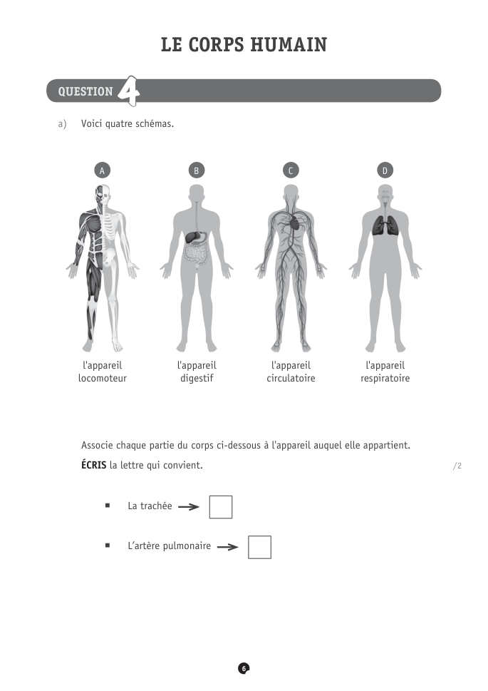Exercice du questionnaire CEB 2021, page 138