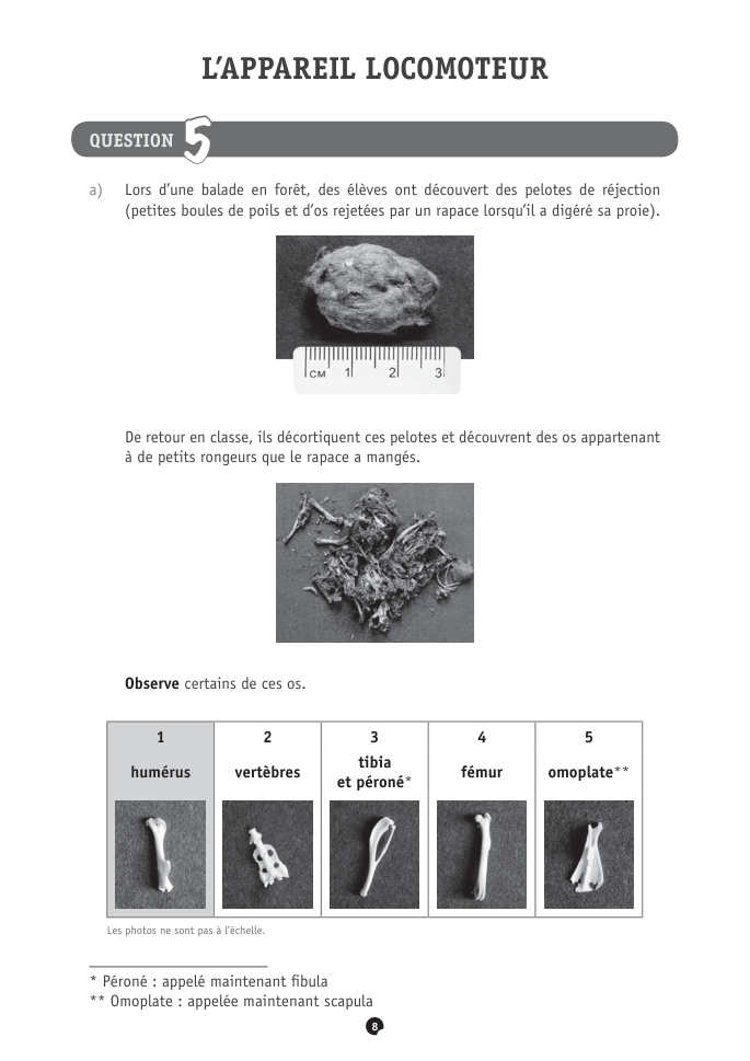 Exercice du questionnaire CEB 2021, page 140
