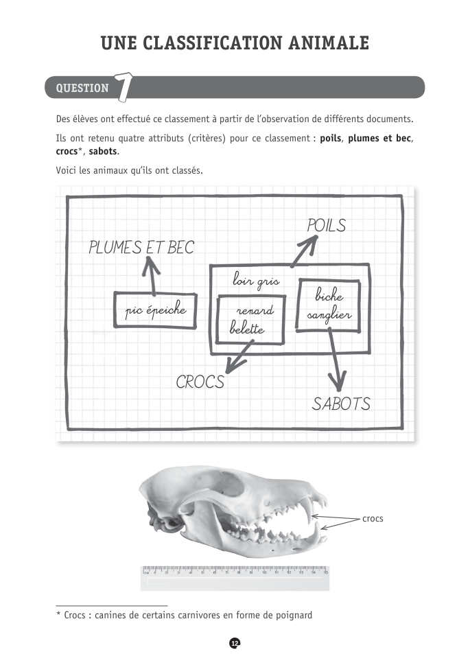 Exercice du questionnaire CEB 2021, page 144