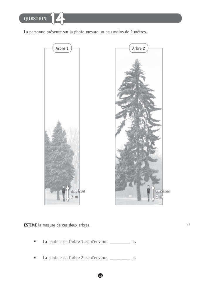 Exercice du questionnaire CEB 2021, page 88