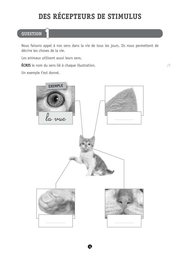 Exercice du questionnaire CEB 2022, page 30