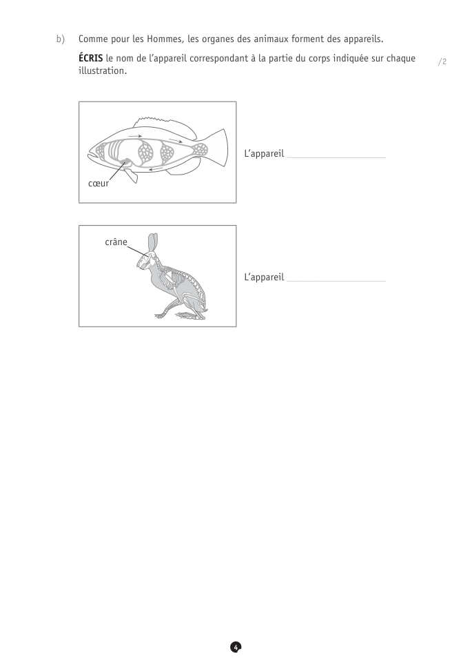 Exercice du questionnaire CEB 2022, page 32