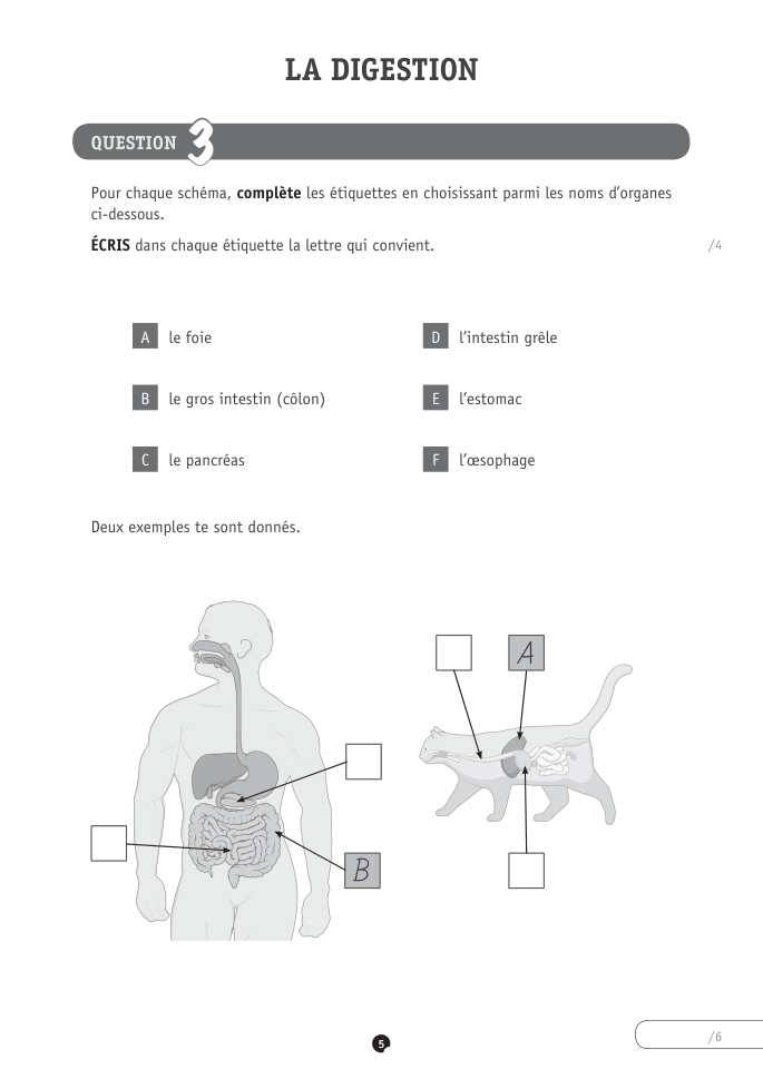 Exercice du questionnaire CEB 2022, page 33