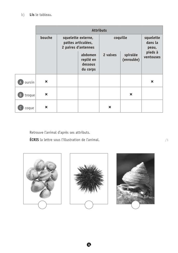 Exercice du questionnaire CEB 2022, page 36
