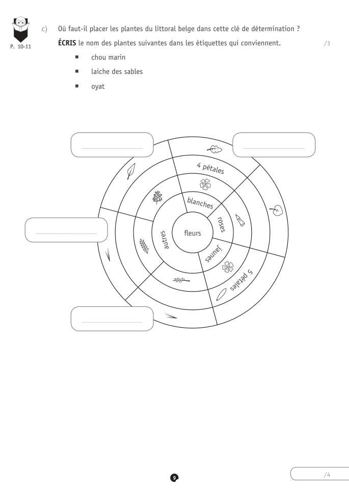 Exercice du questionnaire CEB 2022, page 37