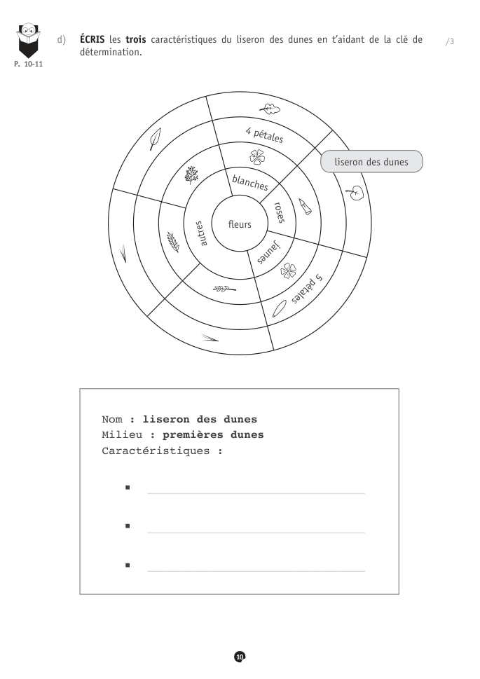 Exercice du questionnaire CEB 2022, page 38