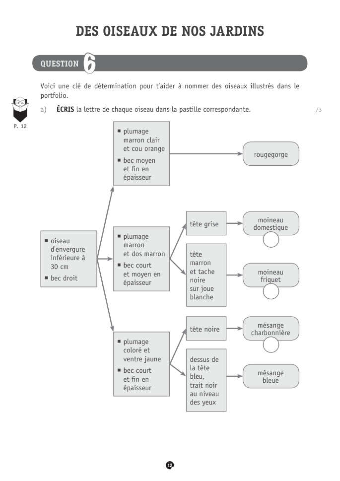 Exercice du questionnaire CEB 2022, page 40