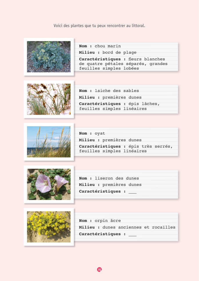 Document du portfolio, page 10