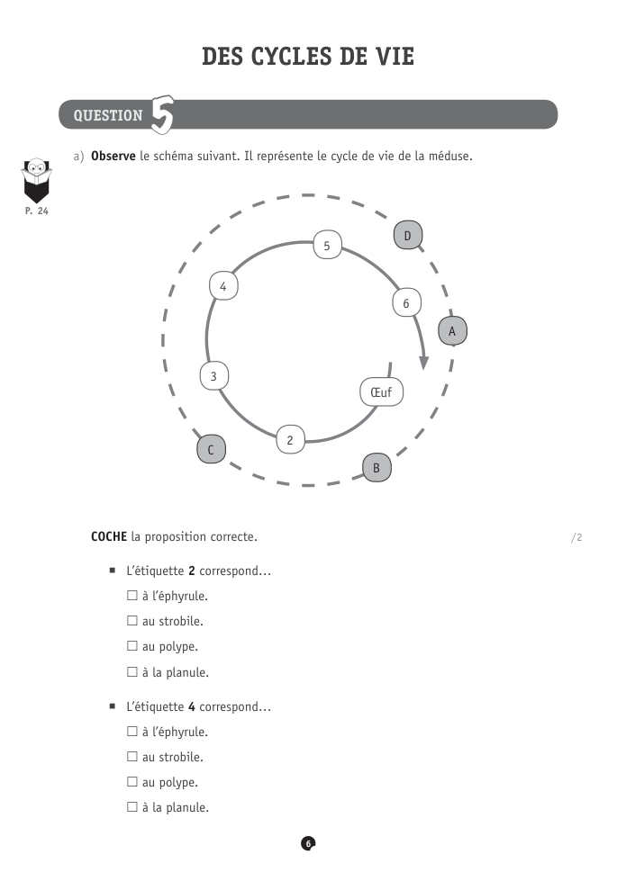 Exercice du questionnaire CEB 2024, page 26