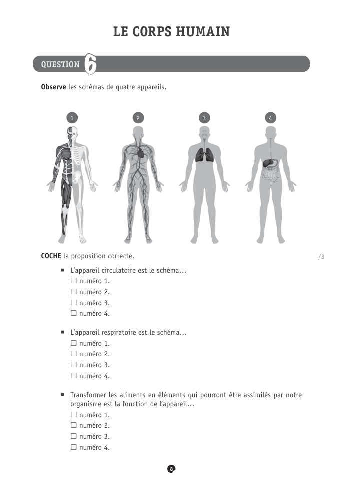 Exercice du questionnaire CEB 2024, page 28