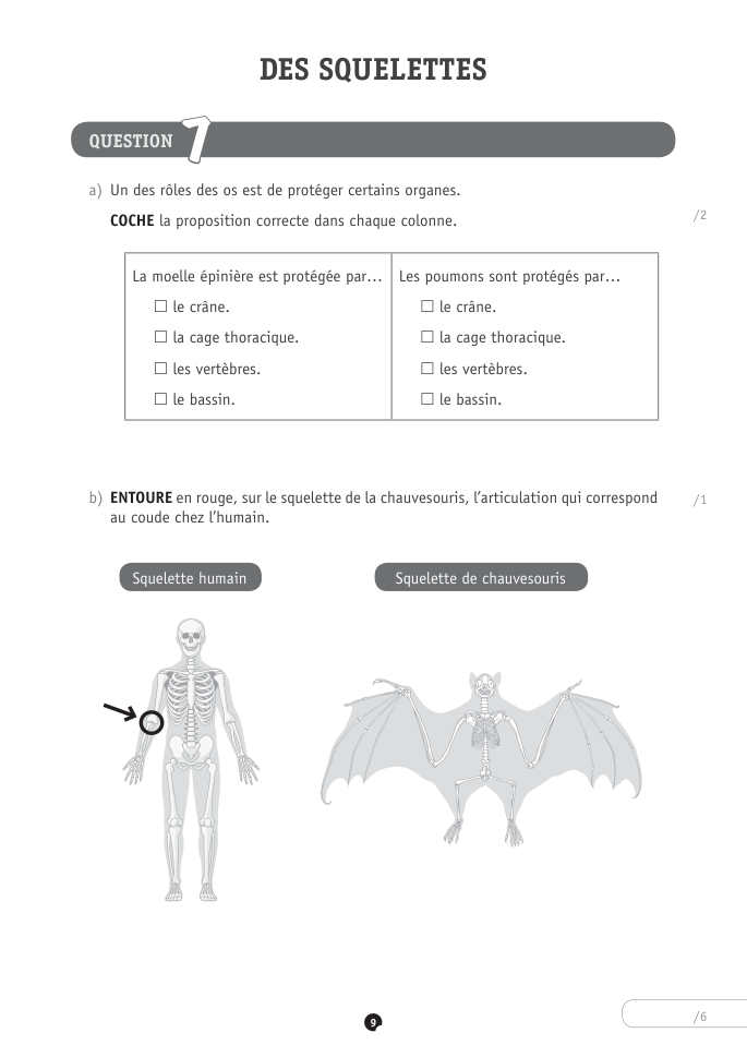 Exercice du questionnaire CEB 2024, page 29