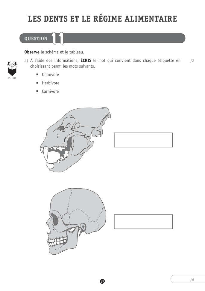 Exercice du questionnaire CEB 2024, page 37
