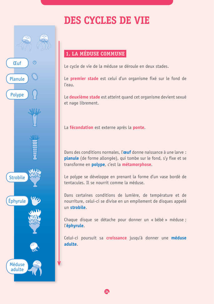 Document du portfolio, page 24