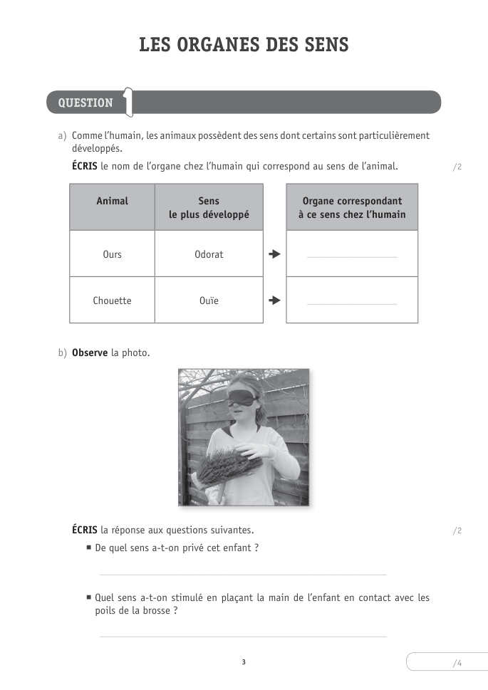 Exercice du questionnaire CEB 2025, page 135