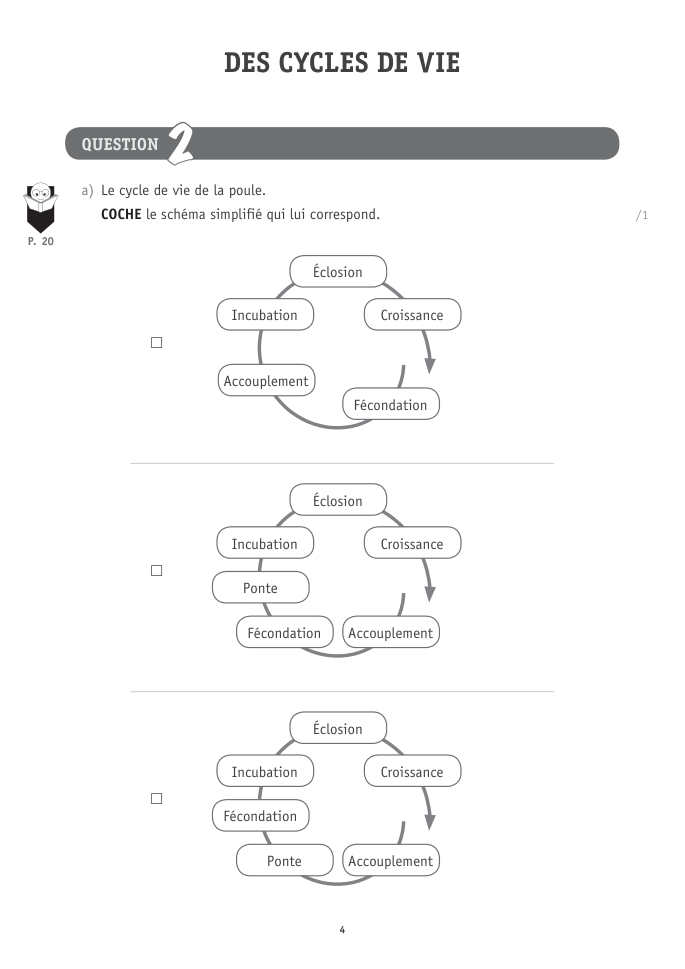 Exercice du questionnaire CEB 2025, page 136