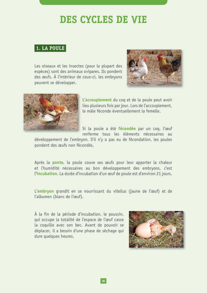 Document du portfolio, page 20