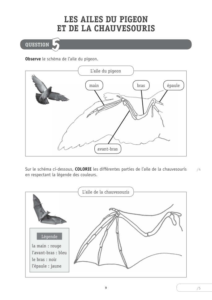 Exercice du questionnaire CEB 2026 Socles, page 113
