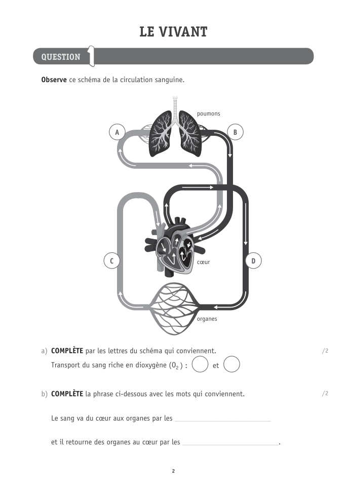 Exercice du questionnaire CEB 2026 Tronc commun, page 112
