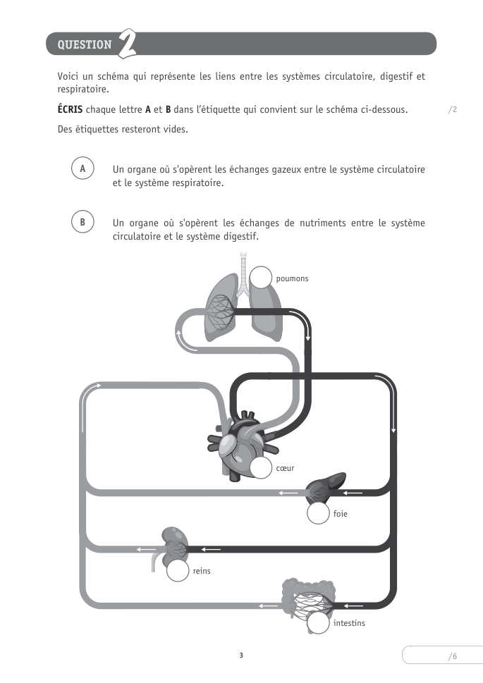Exercice du questionnaire CEB 2026 Tronc commun, page 113