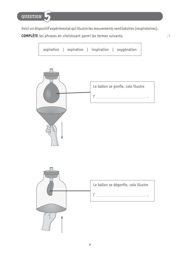 Exercice du questionnaire CEB 2026 Tronc commun, page 116