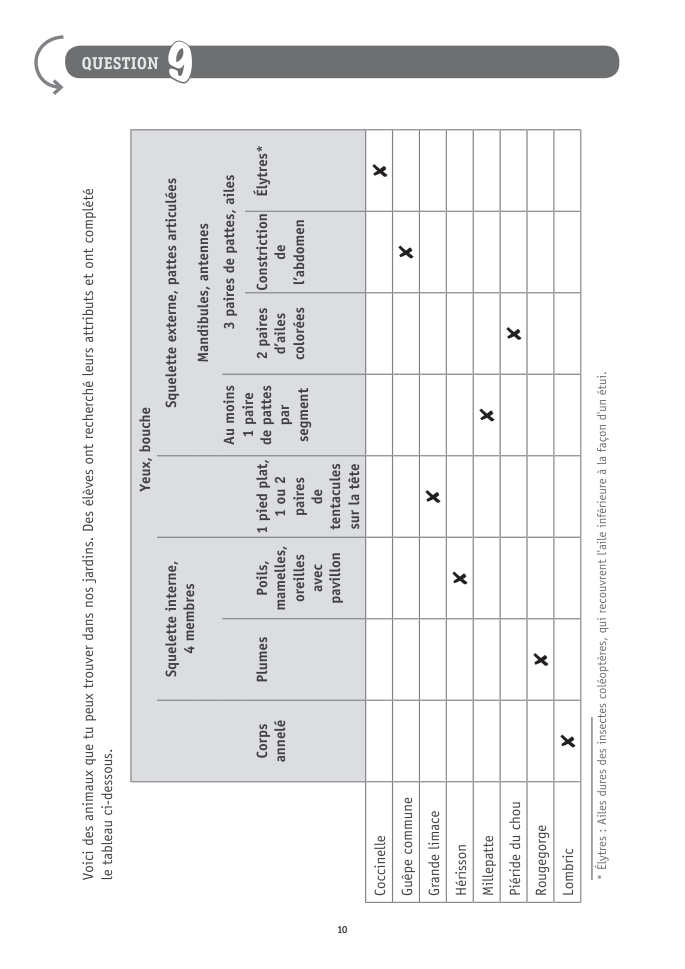 Exercice du questionnaire CEB 2026 Tronc commun, page 120